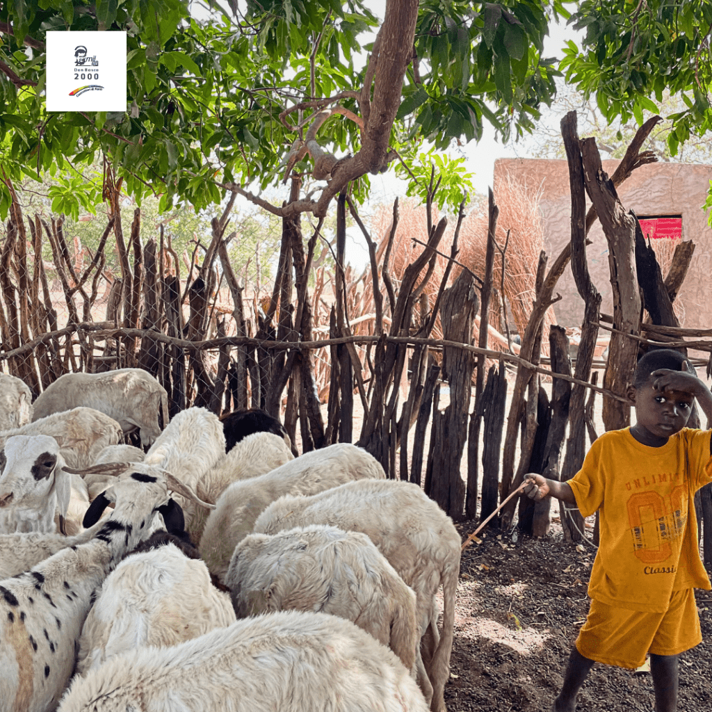 dona ora per i bambini in africa